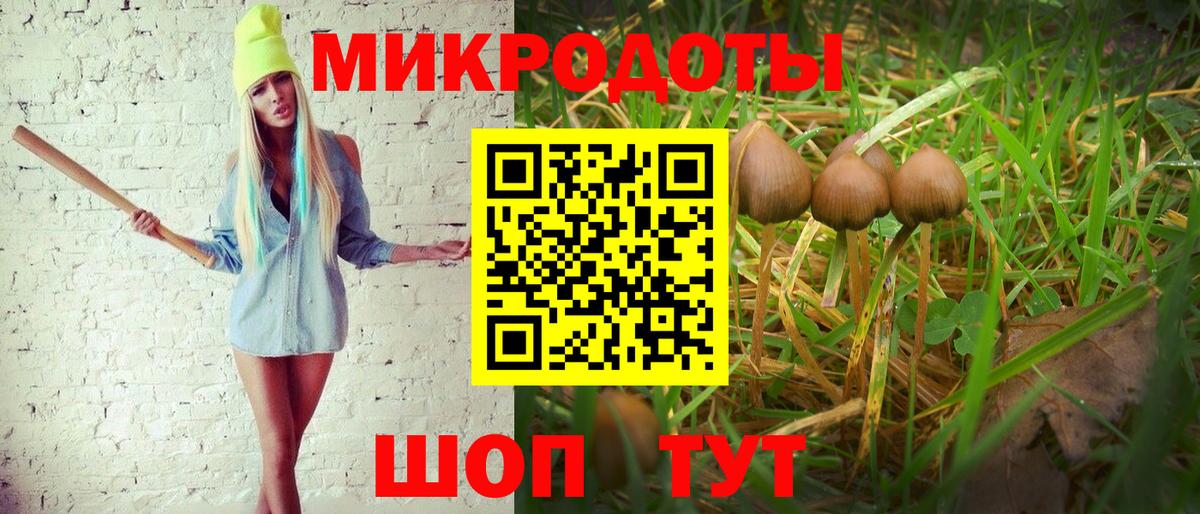 Галлюциногенные грибы Magic Shrooms  Галлюциногенные грибы Magic Shrooms  Вход с VPN  Азнакаево 