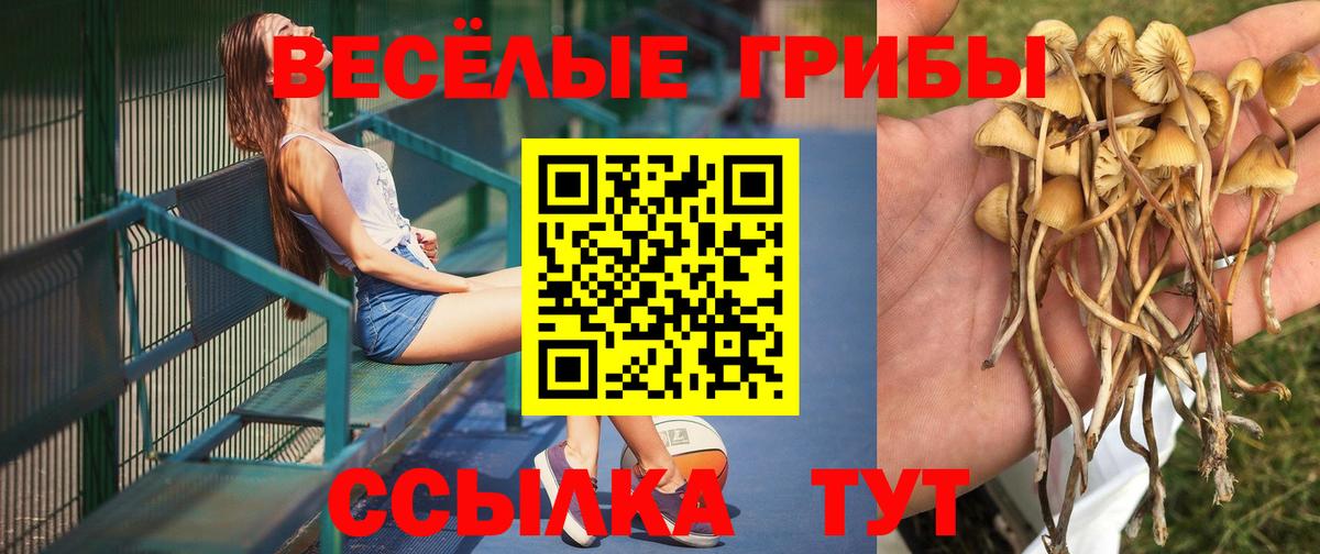 Галлюциногенные грибы прущие грибы Азнакаево